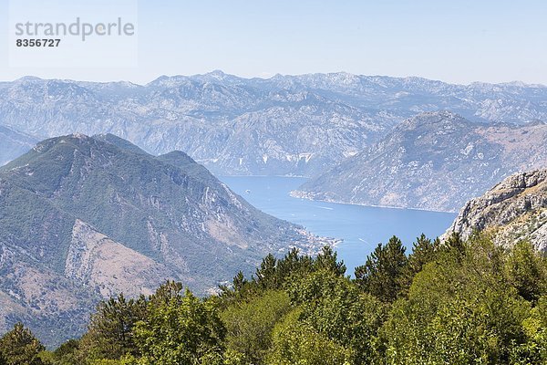 Außenaufnahme Europa Ansicht Bucht Kotor Montenegro