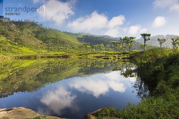 Asien  Sri Lanka