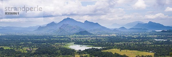 Felsbrocken  Löwe  Panthera leo  nehmen  Festung  hoch  oben  Asien  Berglandschaft  Sigiriya  Sri Lanka