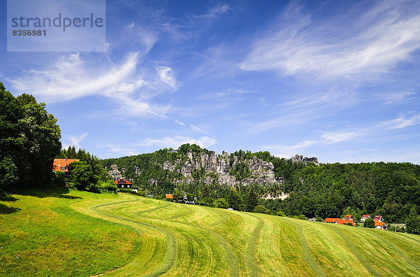 Deutschland  Sachsen  Rathen  Landschaft mit Elbsandsteingebirge