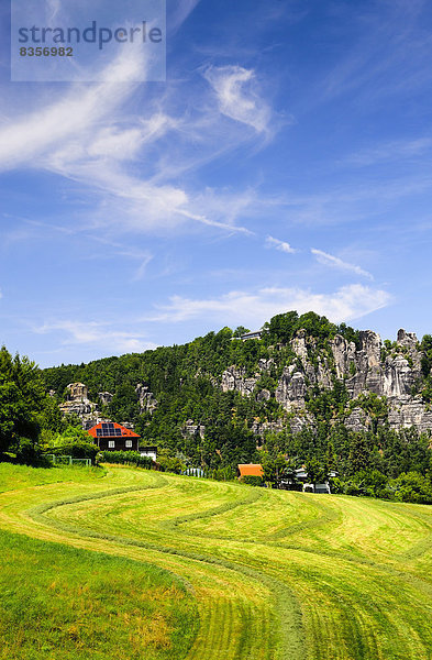 Deutschland  Sachsen  Rathen  Landschaft mit Elbsandsteingebirge