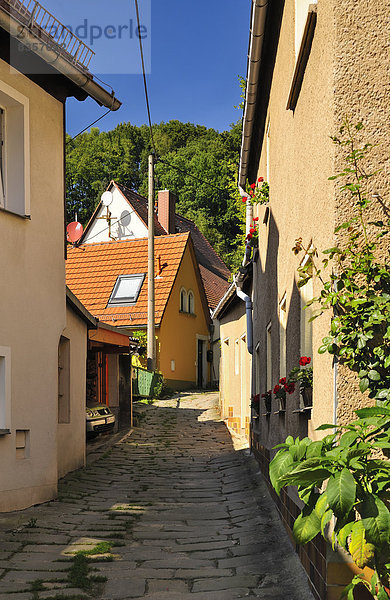 Deutschland  Sachsen  Stadt Wehlen  Enge Gasse und Häuser