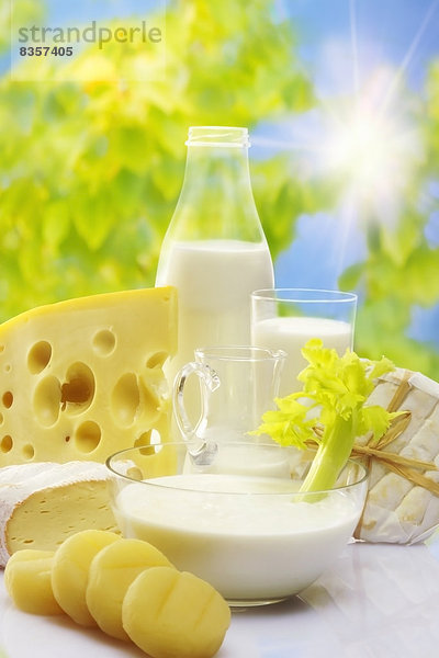 Verschiedene Milchprodukte  Käse  Joghurt und Milch