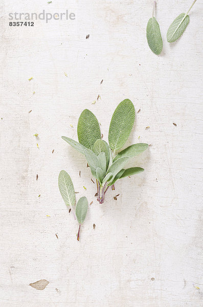 Frischer Salbei (Salvia) auf weißem Schneidebrett  Studioaufnahme