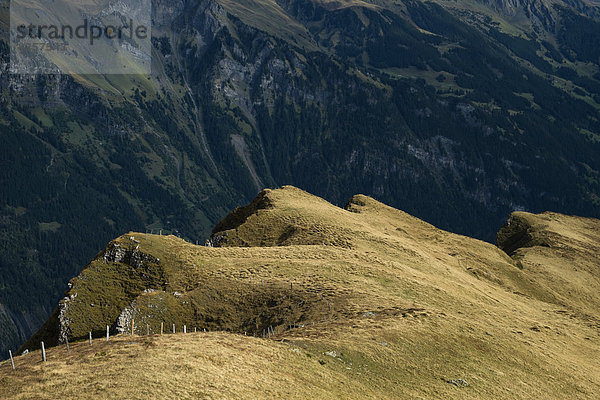 Schweiz  Berner Oberland  Maennlichen  Felsformation