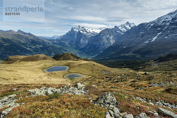 Schweiz  Berner Oberland  Blick von Maennlichen nach Grindelwald  Berner Alpen