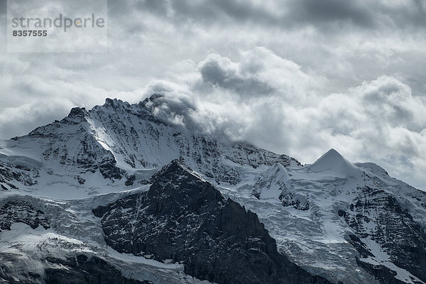 Schweiz  Berner Oberland  Jungfrau  unter Schwarzmoench und Silberhorn