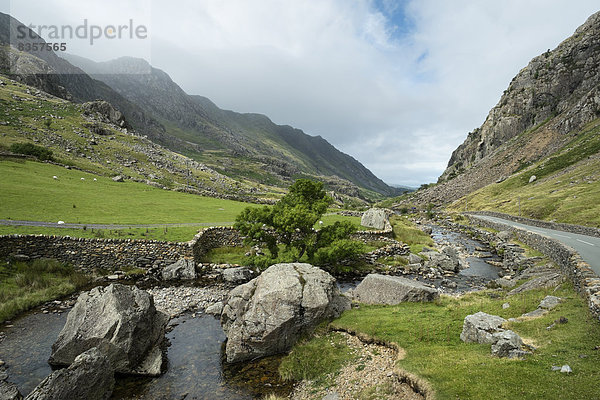 Großbritannien  Wales  Gebirgsbach am Llanberis Pass im Snowdonia Nationalpark