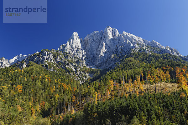 Österreich  Steiermark  Großer Ödstein  Nationalpark Gesäuse