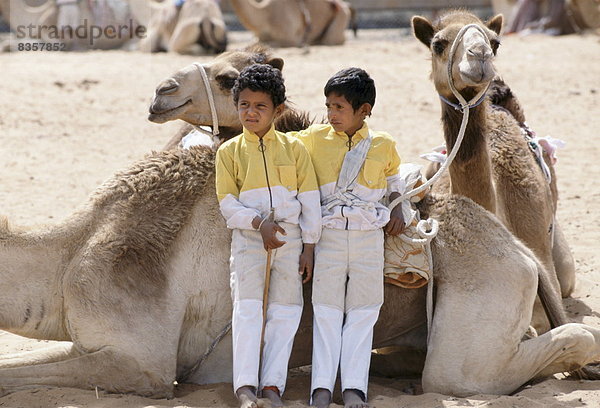 Vereinigte Arabische Emirate  VAE  Wettrennen  Rennen  Junge - Person  Jockey  Naher Osten  Kamel