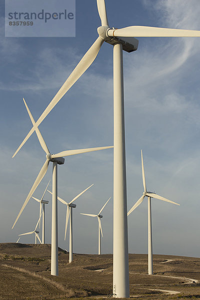 Spanien  Andalusien  Cádiz  auf einem Feld stehende Windkraftanlagen