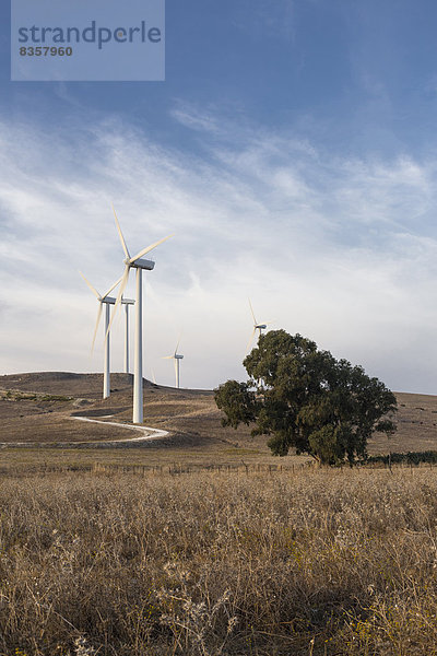 Spanien  Andalusien  Cádiz  auf einem Feld stehende Windkraftanlagen