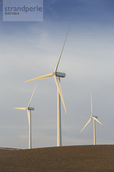 Spanien  Andalusien  Cadiz  drei auf einem Feld stehende Windkraftanlagen