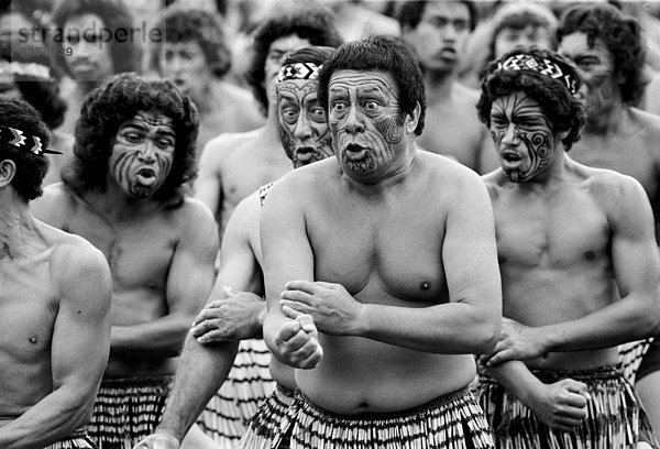 Tradition  tanzen  Zeremonie  Krieg  Maori  Neuseeland