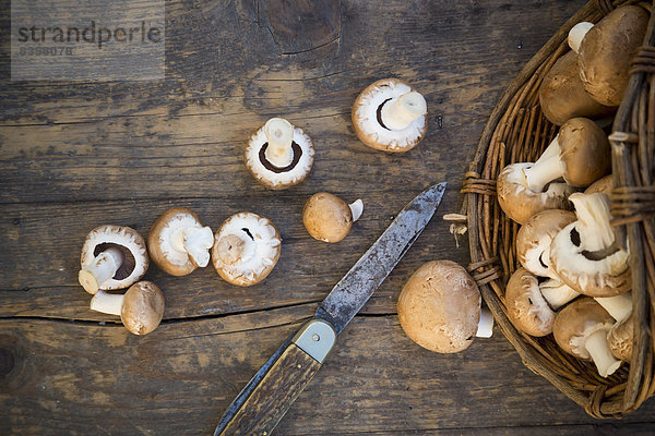 Frische braune Pilze (Agaricus)  Korb und Taschenmesser auf Holztisch  Studioaufnahme