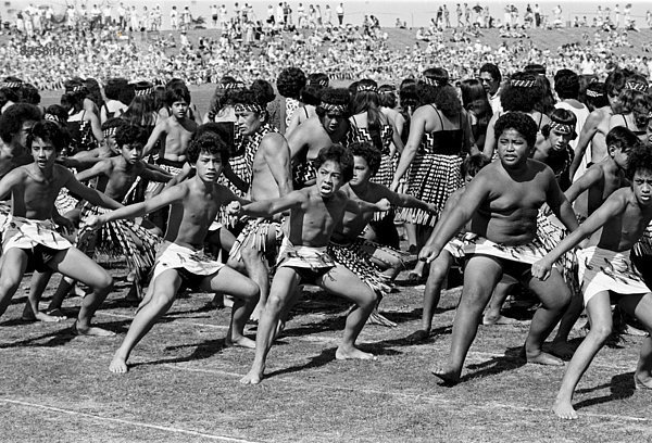 Tradition  tanzen  Zeremonie  Krieg  Maori  Neuseeland