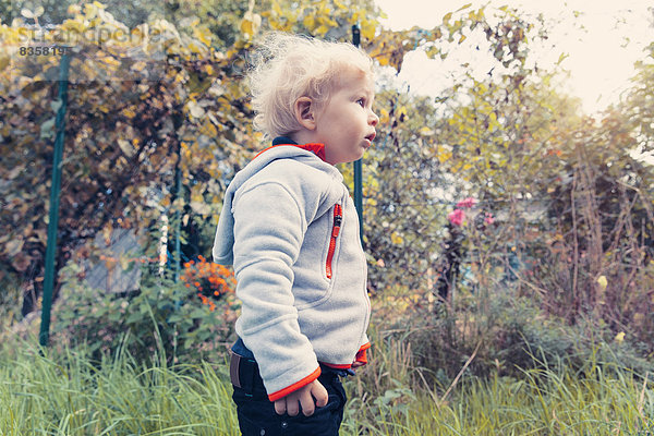 Kleiner Junge  der den Garten erkundet.