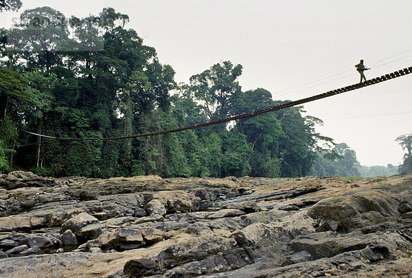 Fußgängerbrücke  Westafrika  führen  Kamerun  Wachmann  Regenwald