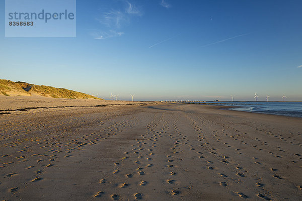 Holland  Nordsee  Küste  Strand und Windräder am Abend