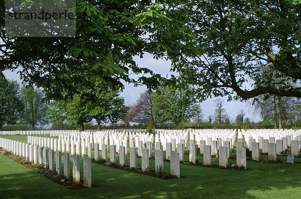 Frankreich  Erde  Krieg  Grabmal  Friedhof  Normandie