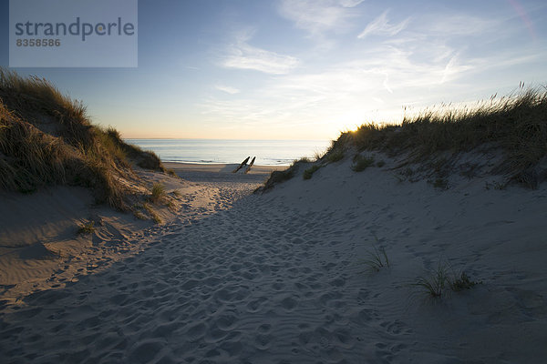 Holland  North Sea  coast  dunes at sunset