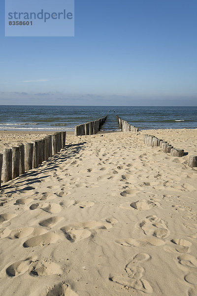 Niederlande  Holland  Zeeland  Domburg  Holzpfähle am Strand