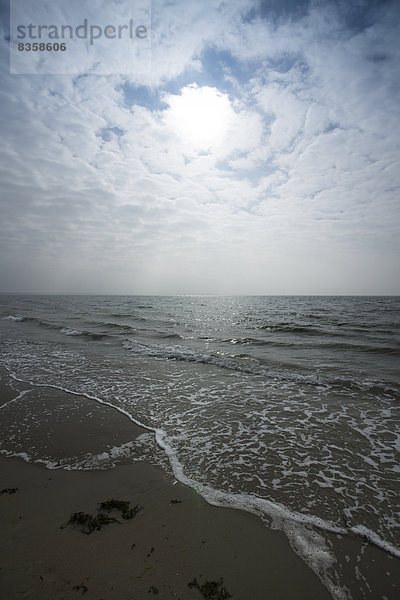 Niederlande  Holland  Zeeland  Westenschouwen  Blick auf den Strand