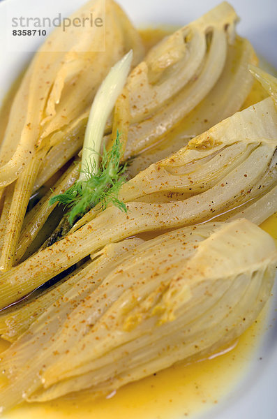 Prepared fennel in curry sauce on serving plate  studio shot
