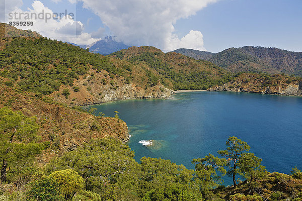 Turkey  Lycia  Olympos National Park  view over coast