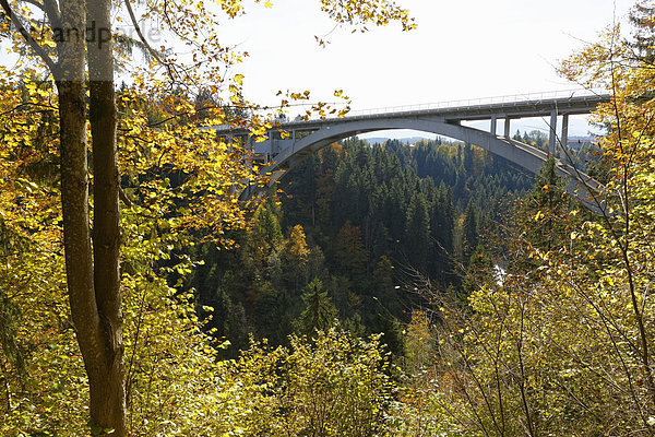 Deutschland  Oberbayern  Ammerschlucht mit Echelsbachbrücke