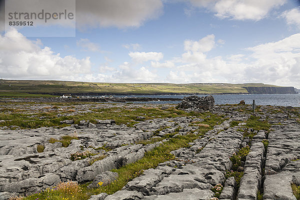 Irland  County Clare  Coastal landscape near Doolin