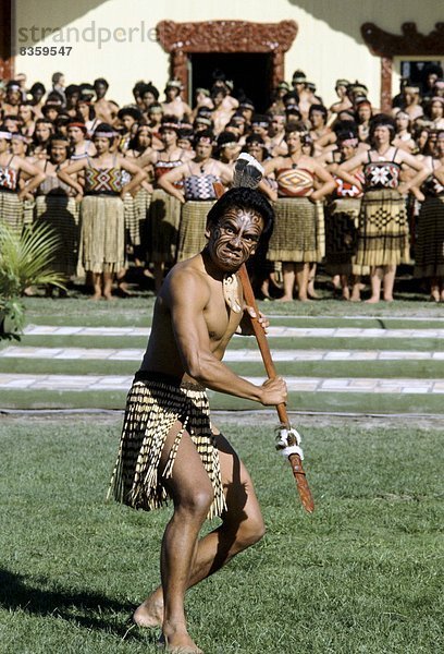 geselliges Beisammensein  Krieger  Volksstamm  Stamm  Maori  neu