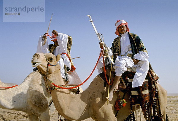 Riad  Hauptstadt  fahren  Wüste  Kamel  Saudi-Arabien