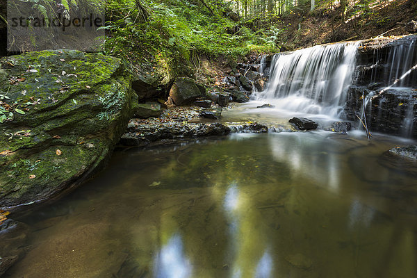 Germany  Swabian-Franconian natural preserve  waterfall  Struempfelbach