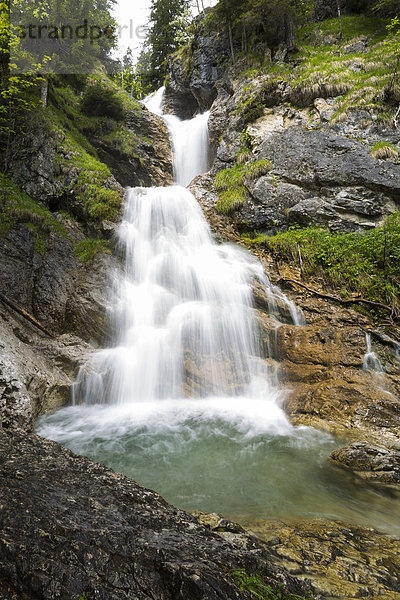Deutschland  Bayern  Blick auf den Wasserfall am Zipfelsbach