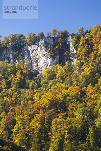 Germany  Baden-Wuerttemberg  Swabian Alb  Bruehltal in autumn