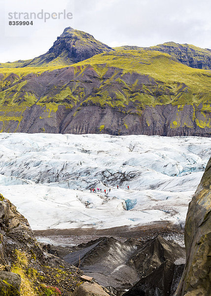 Island  Sudurland  einige Wanderer auf dem Svinafellsjoekull