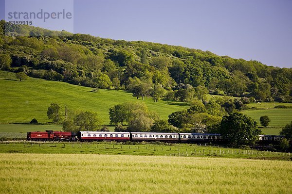 nahe  Ländliches Motiv  ländliche Motive  Tradition  Wasserdampf  Fuhrwerk  Cotswolds  Motor  Gloucestershire  Lokomotive  alt  Zug