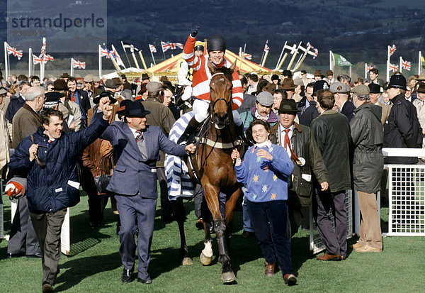 Wettrennen  Rennen  Großbritannien  Erfolg  00 Grundlegendes  Jagd  Festival  Cheltenham Spa  Pferderennbahn  Gehege