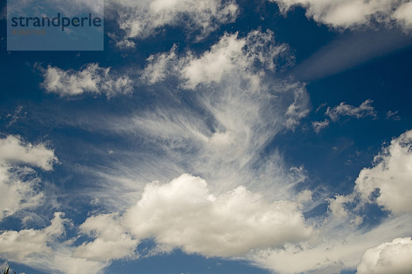 Deutschland  Baden-Württemberg  Schwäbische Alb  Kumuluswolken am blauen Himmel