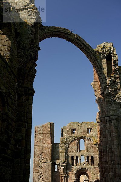 Großbritannien  Ruine  Insel  Heiligkeit  Northumberland