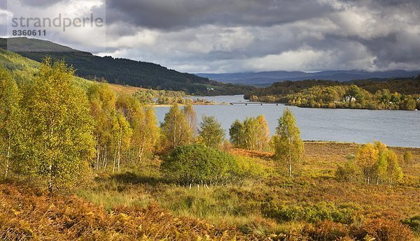 Farbaufnahme  Farbe  nebeneinander  neben  Seite an Seite  Europa  Großbritannien  Herbst  See  Highlands  Schottland  schottisch