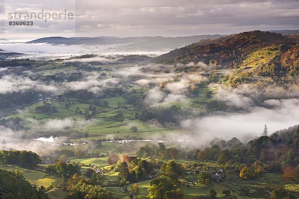 nahe  Europa  Ländliches Motiv  ländliche Motive  Morgen  Großbritannien  über  Dunst  fließen  Fluss  Herbst  Cumbria  England