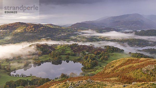 Europa  bedecken  Großbritannien  Landschaft  Dunst  Herbst  umgeben  Cumbria  England  Lake District  Tarn