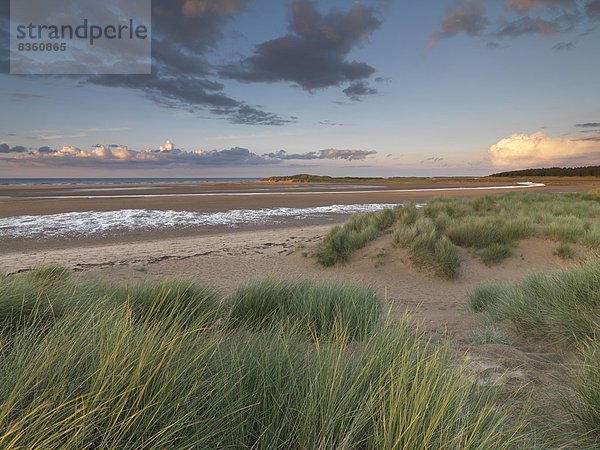 Europa  Schönheit  Sommer  Abend  Großbritannien  Beleuchtung  Licht  spät  Norfolk  Bucht  England