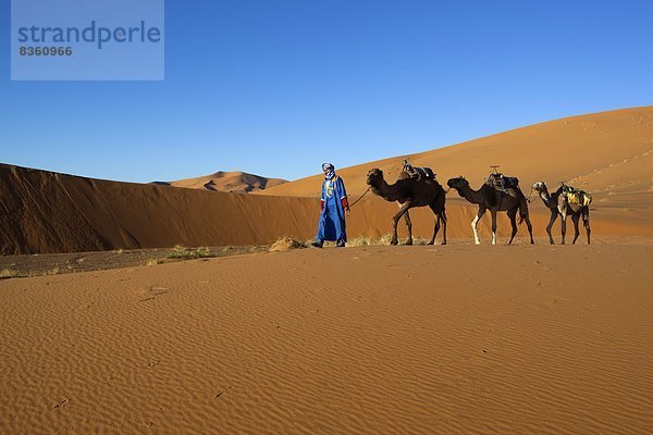 Nordafrika Afrika Merzouga Marokko