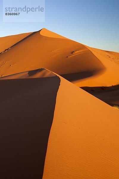 Nordafrika  Afrika  Merzouga  Marokko