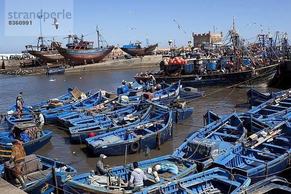 Nordafrika Hafen Tradition Boot frontal angeln Festung Afrika Marokko alt