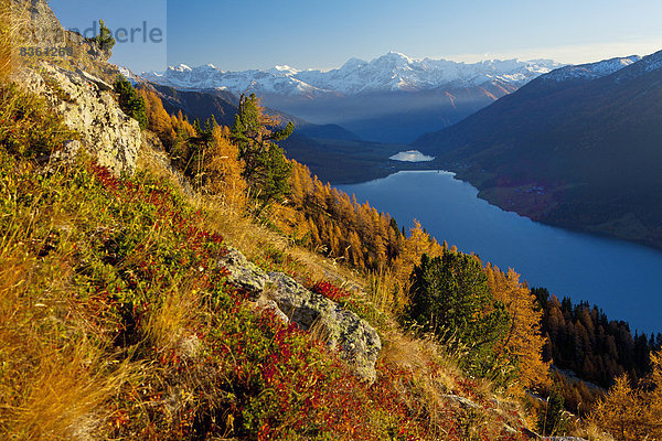 Reschenpass und Ortler  Ortler Alpen  Südtirol  Italien  Europa