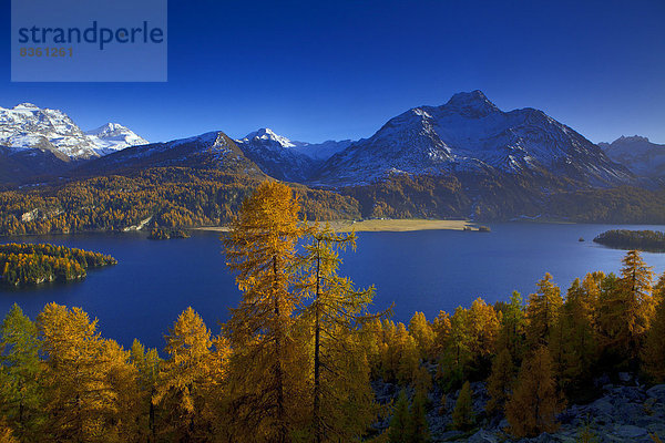 Silser See und Bernina  Schweiz  Europa